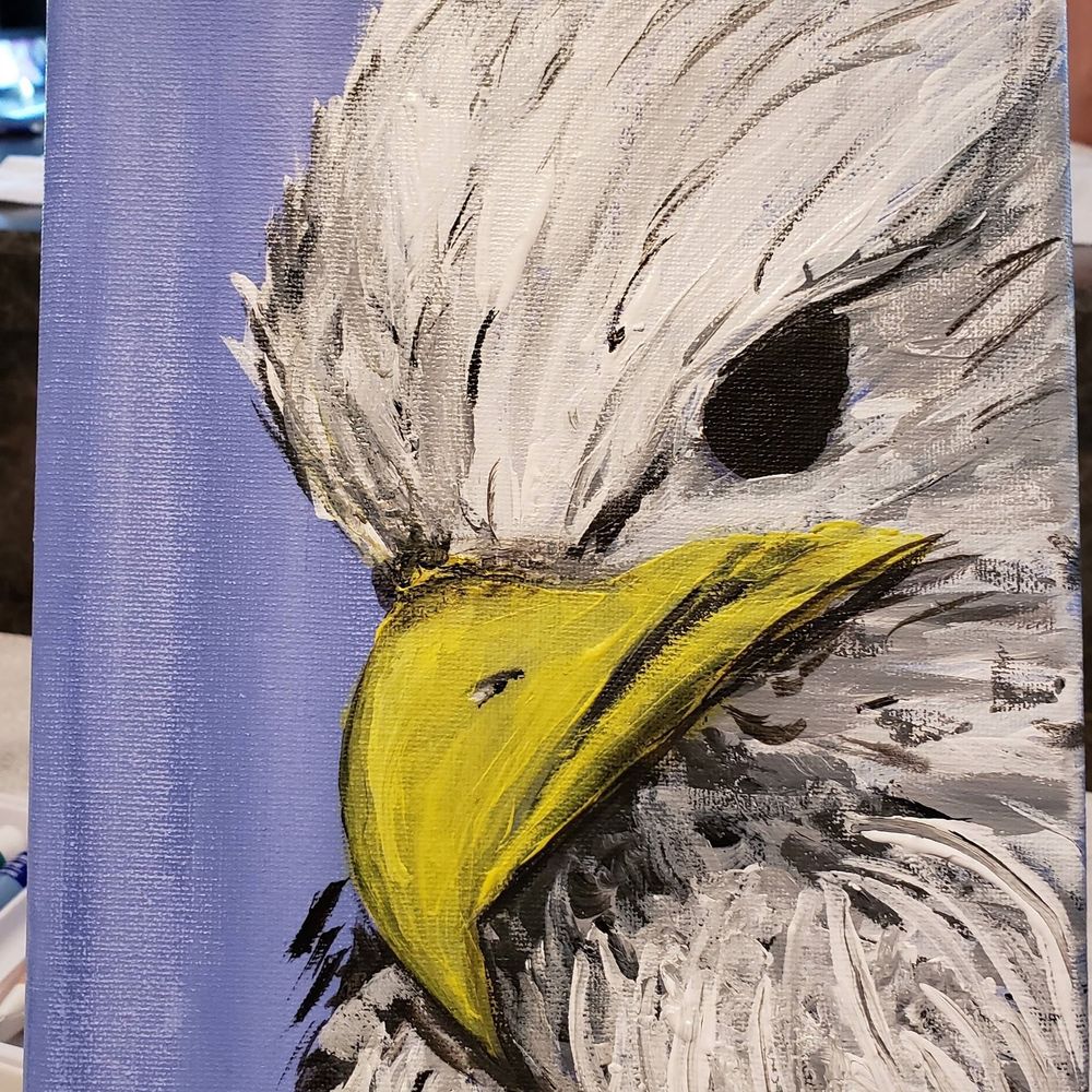 Meet your Posher, Kellen